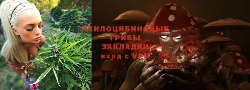 Галлюциногенные грибы MAGIC MUSHROOMS  Кирс 